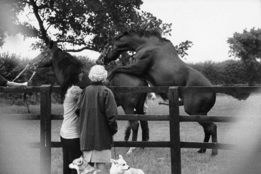 The Queen Watches Her Horses Mate by Alison Jackson at If So What by Hg Contemporary Art Gallery