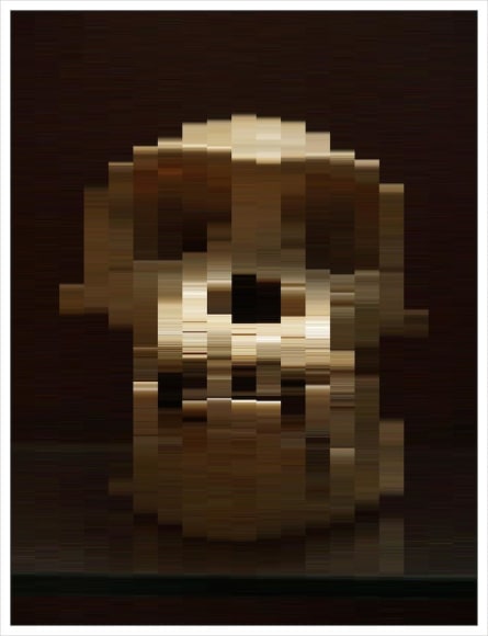 Ape skull by alex haas at HG Contemporary founded by Philippe Hoerle-Guggenheim