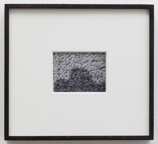 Cody Trepte, The Light, 2019