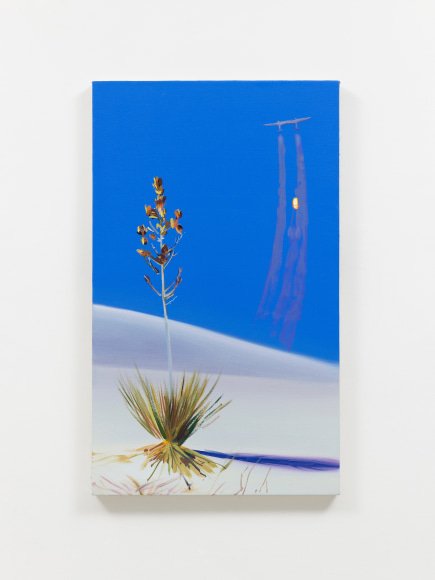 Yifan Jiang, Yucca Elata, 2022