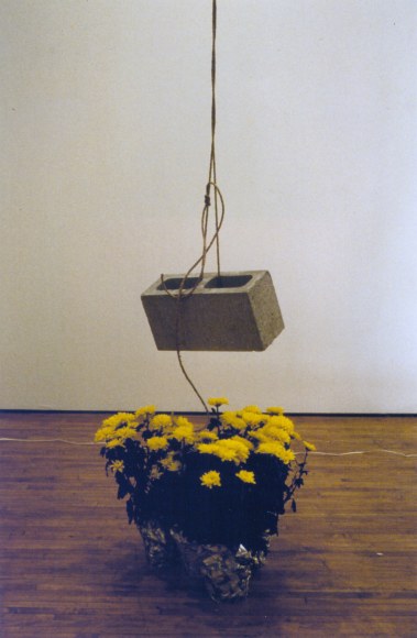 Bas Jan Ader, Light vunerable objects threatened by eight cement bricks
