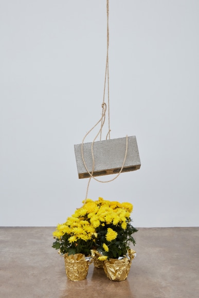 &nbsp;, Bas Jan Ader&nbsp;