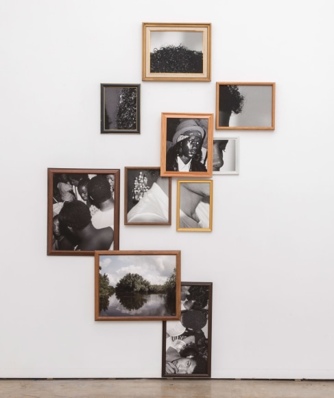 Todd Gray, Exquisite Terribleness in the Mangrove