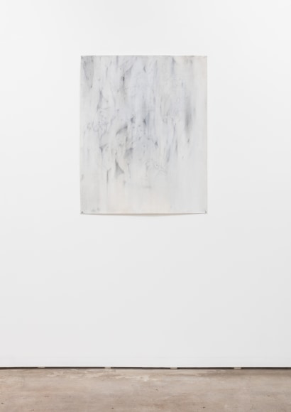 Kaari Upson, Cult of Invalidism