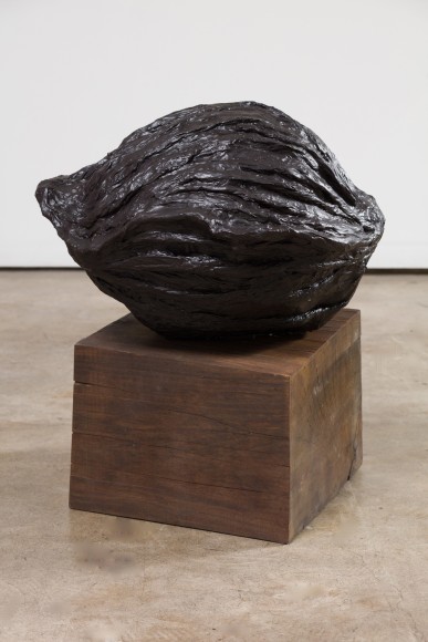 Tami Demaree, We&#039;re Gonna Spite the Noses Right Off of Our Faces