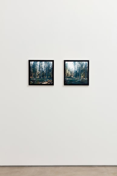 Installation view of Bas Jan Ader Untitled (Swedish fall), 1971 / 2003