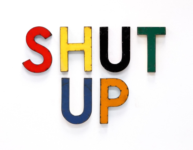 DAVID BUCKINGHAM SHUT UP, 2015