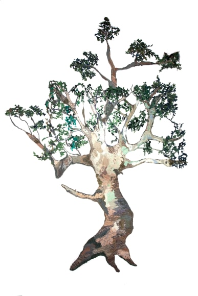 GINA PHILLIPS Holt Cemetary Live Oak, 2011