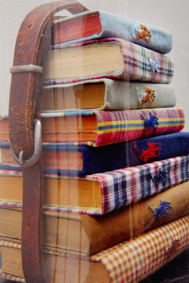 CARLTON SCOTT STURGILL
