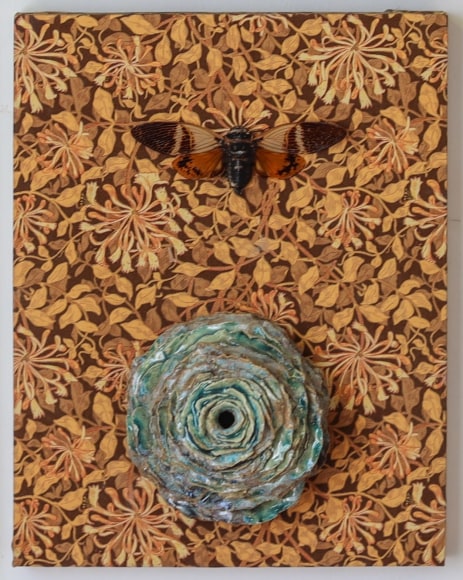 PEYTON PICKENPAUGH, Portal V, 2023