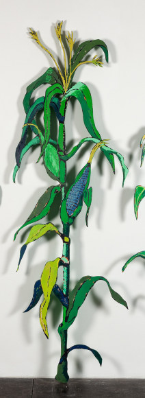 GINA PHILLIPS Cornstalk (Hybrid), 2014