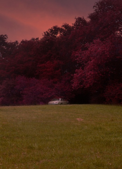 JACOB MITCHELL, Somewhere to Fall in Love, 2021