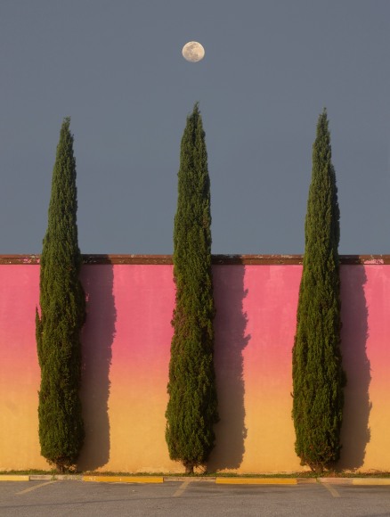 JACOB MITCHELL, Pink Lemonade, 2020