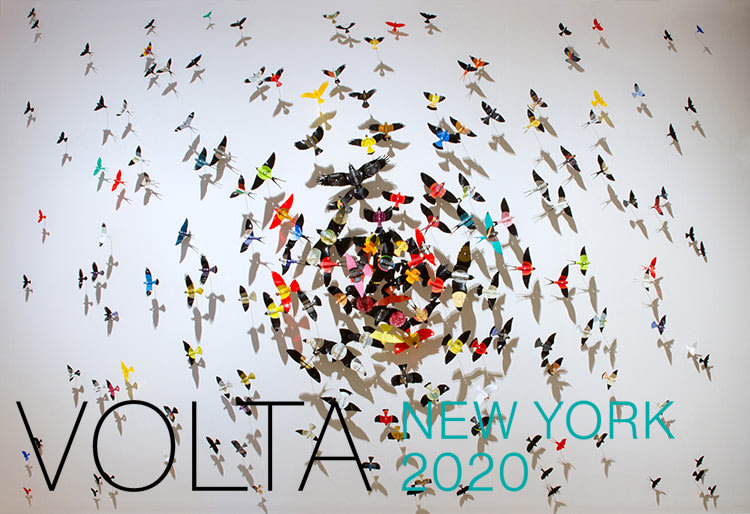 VOLTA NY