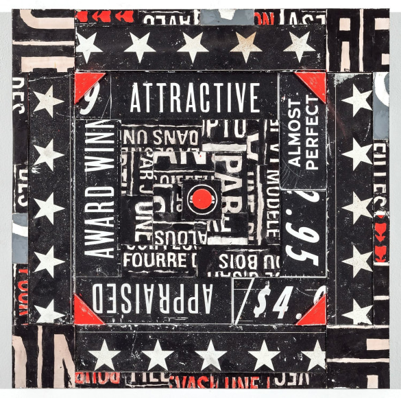 SKYLAR FEIN x MRSA, Attractive, Appraised, Almost Perfect, 2015