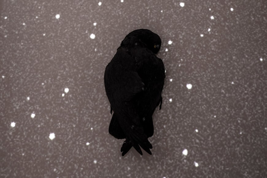 TI-ROCK MOORE, New Dark Night, 2017