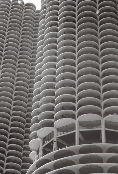 JOLIET MORRILL, B&eacute;ton Brut, 2024