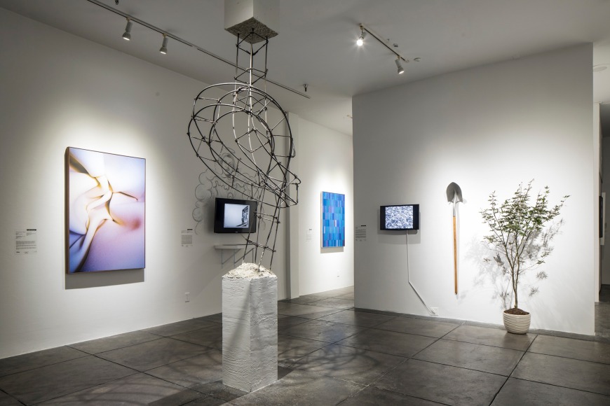 Sin T&iacute;tulo&nbsp;installation | | | &nbsp;JONATHAN FERRARA GALLERY, 4 November - 28 December 2017