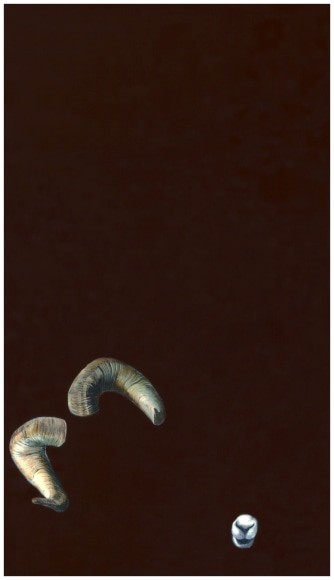 ADAM MYSOCK O&#039;er the Ramparts We Watched, 2009