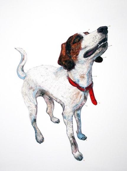 GINA PHILLIPS, Pima, 2015