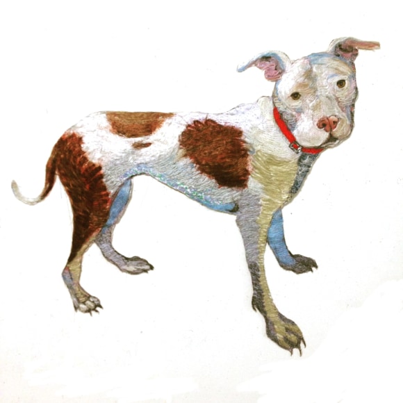 GINA PHILLIPS, Daisy, 2015