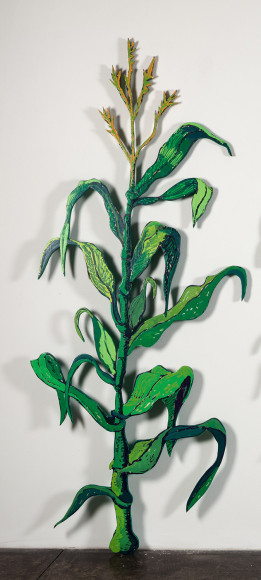 GINA PHILLIPS Cornstalk (June), 2014