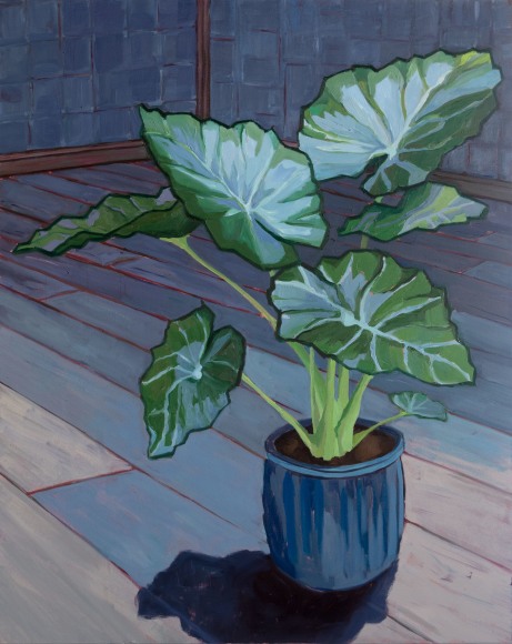 RUTH OWENS, Alocasia Mood, 2021