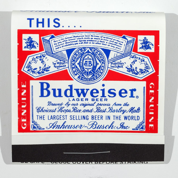 SKYLAR FEIN Budweiser, 2015