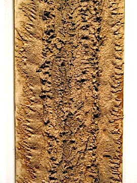 JONATHAN FERRARA, Remnant, detail, 2011