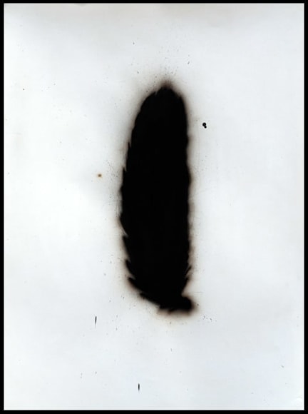 BRIAN BORRELLO, Cone, 2010