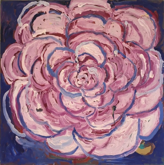 MARGARET EVANGELINE Shot Camellia, 2010