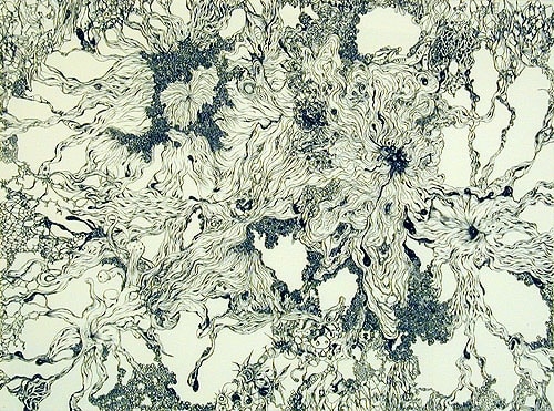 New Species,&nbsp;2004, gouache on paper&nbsp;