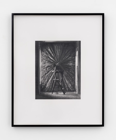 Dan Fischer Jay DeFeo with The Rose, 2025