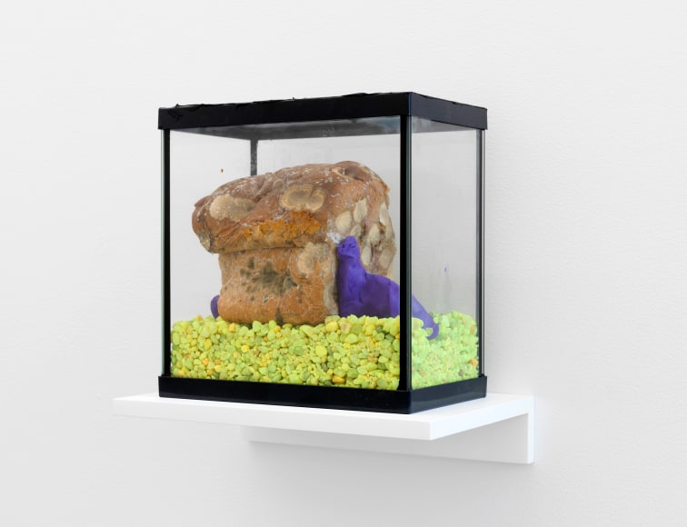 Michelle Segre, Pet of a New Order, 2017