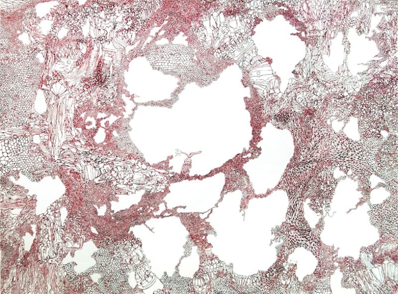 Michelle Segre, Gone, 2003