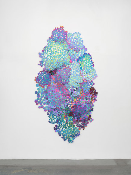 Alyson Shotz Deep Field, 2025