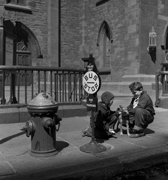 Two Children with Dog, New York, 1941, Gelatin silver print