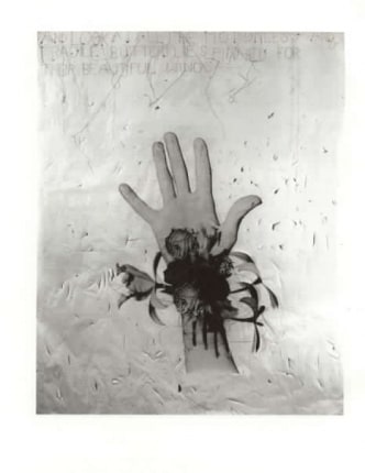 Lesley Dill Flower Hand
