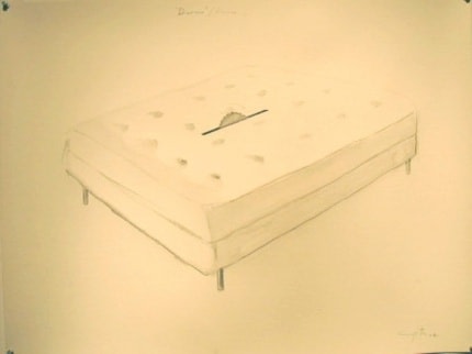 Yoan Capote Divorce, 2004