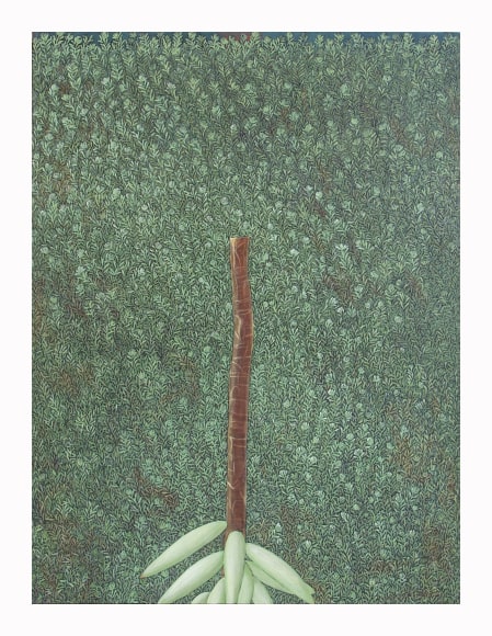 Lynda Dann, Sedum and Succulent, 2004