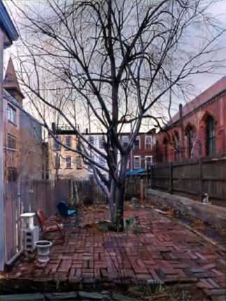 Andrew Lenaghan Backyard, 396 State Street