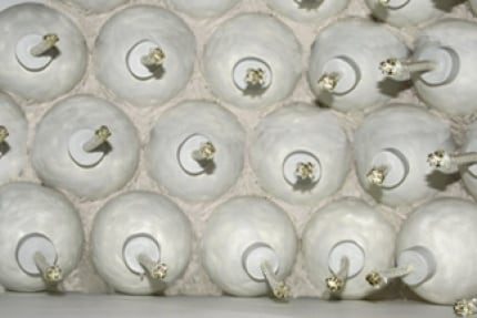 Julianna Dail Security Barricade, 2009