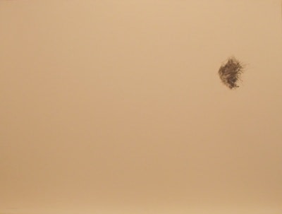 Valerie Demianchuk Untitled, 2004