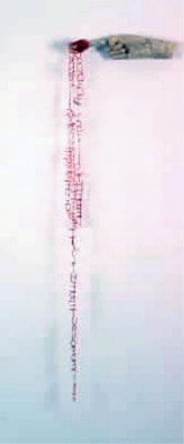 Lesley Dill It is the Return of Desire