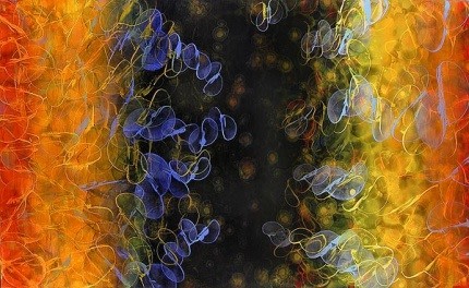 David Mann Spectral Phase #1, 2008