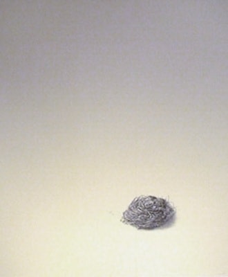 Valerie Demianchuk Terra Firma (Dry Land), 2001