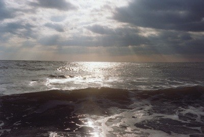 Dan Torop G.W. Etc., 2001