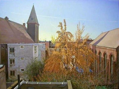 Andrew Lenaghan 369 State Street, Fall Morning