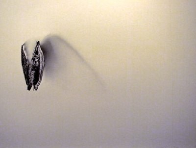 Valerie Demianchuk Chiropteran