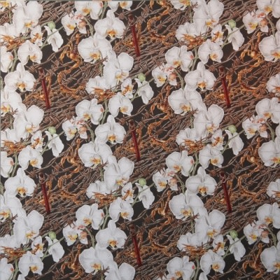 Alain Vaes, 'Orchids and Scorpions,' 2011